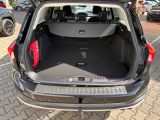 Ford Focus Turnier bei Sportwagen.expert - Abbildung (10 / 15)