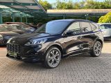 Ford Kuga bei Sportwagen.expert - Abbildung (2 / 15)