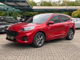 Ford Kuga bei Sportwagen.expert - Abbildung (2 / 15)