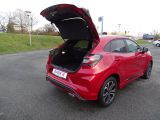 Ford Puma bei Sportwagen.expert - Abbildung (8 / 15)