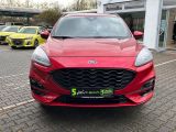 Ford Kuga bei Sportwagen.expert - Abbildung (3 / 15)