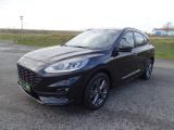 Ford Kuga bei Sportwagen.expert - Abbildung (2 / 15)