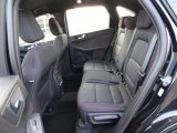 Ford Kuga bei Sportwagen.expert - Abbildung (11 / 15)