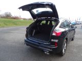 Ford Kuga bei Sportwagen.expert - Abbildung (9 / 15)