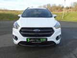 Ford Kuga bei Sportwagen.expert - Abbildung (3 / 15)