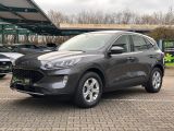 Ford Kuga bei Sportwagen.expert - Abbildung (2 / 15)