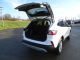 Ford Kuga bei Sportwagen.expert - Abbildung (8 / 15)