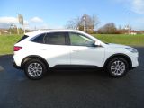 Ford Kuga bei Sportwagen.expert - Abbildung (7 / 15)