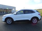 Ford Kuga bei Sportwagen.expert - Abbildung (5 / 15)