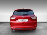Ford Kuga bei Sportwagen.expert - Abbildung (5 / 13)