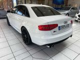 Audi S4 bei Sportwagen.expert - Abbildung (3 / 15)