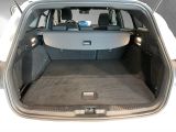 Ford Focus ST bei Sportwagen.expert - Abbildung (14 / 15) Ford Focus ST bei Sportwagen.expert - Abbildung (14 / 15)