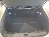 Ford Mustang Mach-E bei Sportwagen.expert - Abbildung (14 / 15)