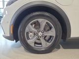 Ford Mustang Mach-E bei Sportwagen.expert - Abbildung (15 / 15)