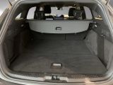 Ford Focus ST bei Sportwagen.expert - Abbildung (14 / 15)