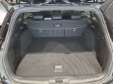 Ford Focus ST bei Sportwagen.expert - Abbildung (14 / 15)