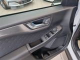 Ford Kuga bei Sportwagen.expert - Abbildung (10 / 15)