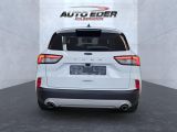 Ford Kuga bei Sportwagen.expert - Abbildung (9 / 15)