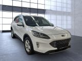 Ford Kuga bei Sportwagen.expert - Abbildung (5 / 15)