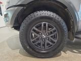 Ford Ranger bei Sportwagen.expert - Abbildung (15 / 15)