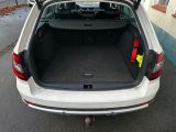 Skoda Octavia bei Sportwagen.expert - Abbildung (9 / 15) Skoda Octavia bei Sportwagen.expert - Abbildung (9 / 15)