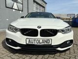 BMW 4er bei Sportwagen.expert - Abbildung (3 / 15)