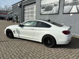 BMW 4er bei Sportwagen.expert - Abbildung (5 / 15)