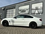 BMW 4er bei Sportwagen.expert - Abbildung (4 / 15)