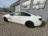 BMW 4er bei Sportwagen.expert - Abbildung (7 / 15)