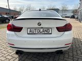 BMW 4er bei Sportwagen.expert - Abbildung (8 / 15)