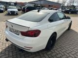 BMW 4er bei Sportwagen.expert - Abbildung (10 / 15)