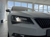 Skoda Superb bei Sportwagen.expert - Abbildung (6 / 15)