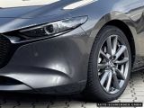 Mazda 3 bei Sportwagen.expert - Abbildung (14 / 15)