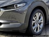 Mazda CX-30 bei Sportwagen.expert - Abbildung (14 / 15)