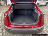 Mazda CX-30 bei Sportwagen.expert - Abbildung (15 / 15)
