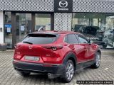Mazda CX-30 bei Sportwagen.expert - Abbildung (3 / 15)