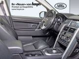 Land Rover Discovery Sport bei Sportwagen.expert - Abbildung (4 / 15)