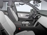 Land Rover Discovery Sport bei Sportwagen.expert - Abbildung (6 / 15)