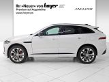 Jaguar F-Pace bei Sportwagen.expert - Abbildung (3 / 15)