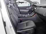 Land Rover Range Rover Velar bei Sportwagen.expert - Abbildung (6 / 15)
