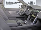 Land Rover Discovery Sport bei Sportwagen.expert - Abbildung (5 / 15)
