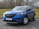 Opel Grandland X bei Sportwagen.expert - Abbildung (2 / 15)