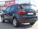 Ford EcoSport bei Sportwagen.expert - Abbildung (3 / 15)