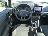 Ford EcoSport bei Sportwagen.expert - Abbildung (10 / 15)