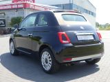 Fiat 500 C bei Sportwagen.expert - Abbildung (3 / 15)