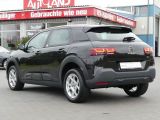 Citroen C4 Cactus bei Sportwagen.expert - Abbildung (3 / 15)