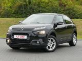 Citroen C4 Cactus bei Sportwagen.expert - Abbildung (2 / 15)