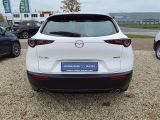 Mazda CX-30 bei Sportwagen.expert - Abbildung (14 / 14)