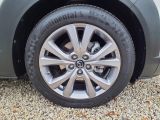 Mazda CX-30 bei Sportwagen.expert - Abbildung (11 / 14)