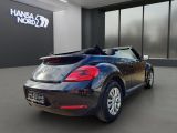 VW Beetle bei Sportwagen.expert - Abbildung (2 / 15)